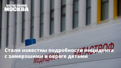 Стали известны подробности инцидента с замерзшими в овраге детьми - vm.ru - Саратовская обл.