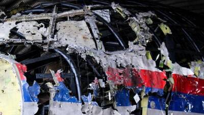 Сергей Лавров - Лавров назвал неприемлемыми попытки представить дело MH17 как государственную проблему - 5-tv.ru - Москва - Россия - Малайзия