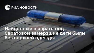 Найденные в овраге под Саратовом замерзшие дети были в кофтах, но без верхней одежды - ria.ru - Саратовская обл. - Саратов - Самара - район Аткарский