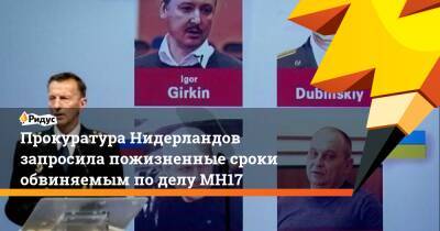 Прокуратура Нидерландов запросила пожизненные сроки обвиняемым по делу МН17 - ridus.ru - Россия - Украина - ДНР - Голландия