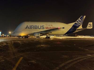 В новосибирский аэропорт прибыл редкий грузовой самолет Airbus Beluga - sib.fm - Новосибирск - Польша