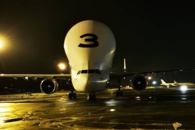 В Толмачёво приземлился гигантский грузовой самолёт Airbus Beluga в виде белого кита - novos.mk.ru - Новосибирск - Варшава - Сеул
