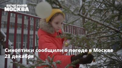 Синоптики сообщили о погоде в Москве 23 декабря - vm.ru - Москва - Московская обл. - Москва