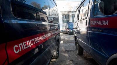 СК возбудил уголовное дело против матери найденных в овраге детей под Саратовом - inforeactor.ru - Саратов - район Аткарский - Скончался