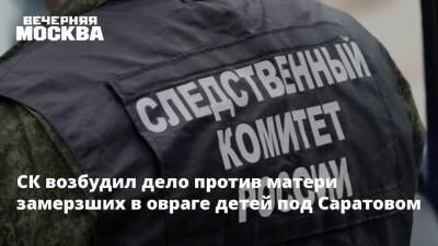 СК возбудил дело против матери замерзших в овраге детей под Саратовом - vm.ru - Саратовская обл. - Саратов - район Аткарский