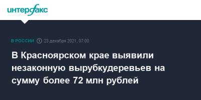 В Красноярском крае выявили незаконную вырубкудеревьев на сумму более 72 млн рублей - interfax.ru - Москва - Россия - Красноярский край