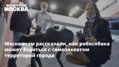 Владислав Овчинский - Москвичам рассказали, как робособака может бороться с самозахватом территорий города - vm.ru - Москва - Москва