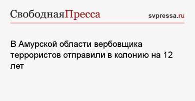 В Амурской области вербовщика террористов отправили в колонию на 12 лет - svpressa.ru - Россия - Амурская обл.
