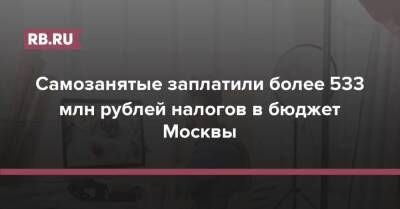 Владимир Ефимов - Самозанятые заплатили более 533 млн рублей налогов в бюджет Москвы - rb.ru - Москва - Россия - Москва