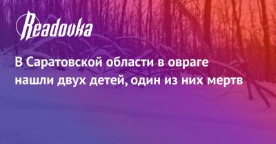 В Саратовской области в овраге нашли двух детей, один из них мертв - readovka.news - Саратовская обл. - район Аткарский