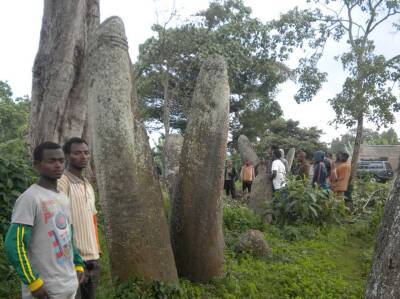 Эфиопия - Фаллические стелы в Эфиопии оказались старше на 1000 лет - lenta.ua - Украина - Эфиопия - штат Северная Дакота