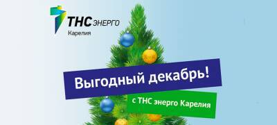 Новогодняя акция «ТНС энерго Карелия»: «Выгодный декабрь!» - stolicaonego.ru - республика Карелия