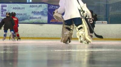 В Пензе спортсмены отметили День отечественного хоккея - penzainform.ru - Пенза