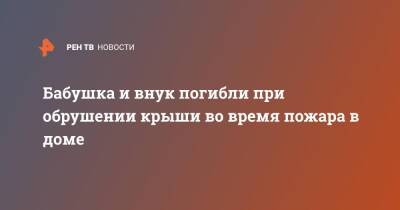Бабушка и внук погибли при обрушении крыши во время пожара в доме - ren.tv - Россия - Новгородская обл.
