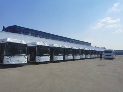 Предложения нижегородцев учтут при разработке новой маршрутной сети - vgoroden.ru - Нижний Новгород - Нижний Новгород