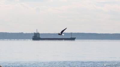 Зоя Осколкова - В Японии вышел в море первый в мире электротанкер - newdaynews.ru - Токио - Япония