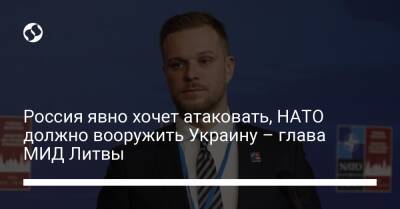 Габриэлюс Ландсбергис - Россия явно хочет атаковать, НАТО должно вооружить Украину – глава МИД Литвы - liga.net - Россия - Украина - Литва