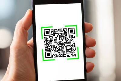 Где будут нужны QR-коды в Петербурге со 2 января - spb.mk.ru - Санкт-Петербург