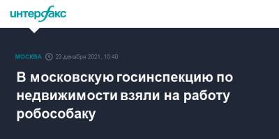 Владислав Овчинский - В московскую госинспекцию по недвижимости взяли на работу робособаку - interfax.ru - Москва - Москва