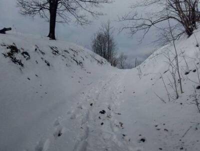 Татьяна Загородняя - Девочка, выброшенная матерью в овраг на морозе, перенесла клиническую смерть - znak.com - Саратовская обл.