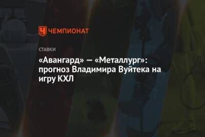 Владимир Вуйтек - «Авангард» — «Металлург»: прогноз Владимира Вуйтека на игру КХЛ - championat.com