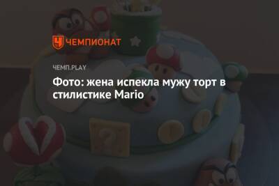 Фото: жена испекла мужу торт в стилистике Mario - championat.com
