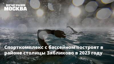 Рафик Загрутдинов - Спорткомплекс с бассейном построят в районе столицы Зябликово в 2023 году - vm.ru - Москва - Строительство