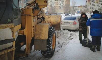 После снегопадов в Тюмени вырос спрос на дворников - nashgorod.ru - Россия - Тюмень