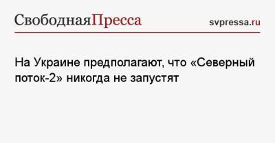 Юрий Витренко - На Украине предполагают, что «Северный поток-2» никогда не запустят - svpressa.ru - Россия - Украина - Германия