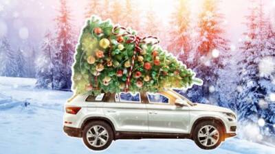 СЧАСТЛИВЫЙ НОВЫЙ ГОД СО ŠKODA АВТОПОРТ-КЛЮЧАВТО В ТЦ OZ MALL - usedcars.ru