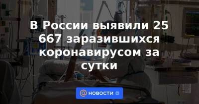 В России выявили 25 667 заразившихся коронавирусом за сутки - news.mail.ru - Россия - Красноярский край - Иркутская обл. - Санкт-Петербург - Свердловская обл. - Пермский край