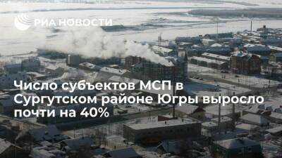 Андрей Трубецкой - Число субъектов МСП в Сургутском районе Югры выросло на 38 процентов в 2021 году - smartmoney.one - Югра - район Сургутский