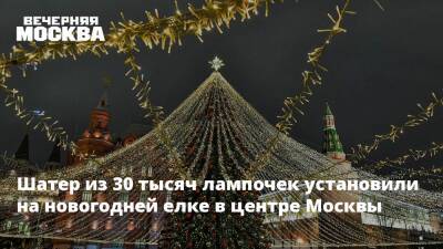 Шатер из 30 тысяч лампочек установили на новогодней елке в центре Москвы - vm.ru - Москва - Москва