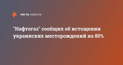 Юрий Витренко - "Нафтогаз" сообщил об истощении украинских месторождений на 80% - ren.tv - Украина