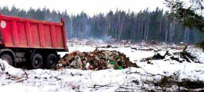 Свалку отходов животноводства обнаружили в Олонецком районе Карелии - stolicaonego.ru - район Олонецкий - республика Карелия