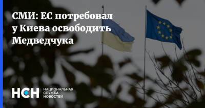 Владимир Зеленский - Виктор Медведчук - СМИ: ЕС потребовал у Киева освободить Медведчука - nsn.fm - Москва - Россия - Украина - Киев - Киев