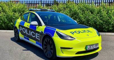 Полиция массово закупает электромобили Tesla: они имеют ряд преимуществ - focus.ua - США - Украина - Нью-Йорк
