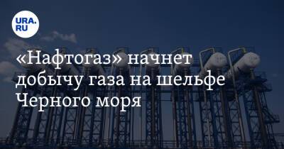 Юрий Витренко - «Нафтогаз» начнет добычу газа на шельфе Черного моря - ura.news - Украина - Харьковская обл. - Донецкая обл.