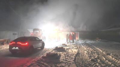 Во время пожара на ферме в Ряжском районе спасли 300 коров - 7info.ru - Ряжск