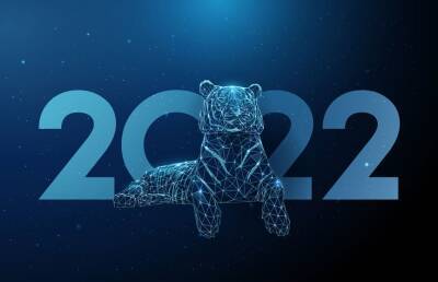 Год Тигра: чего ждать от символа 2022 года - ont.by - Белоруссия