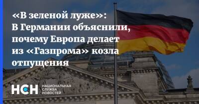 Владимир Путин - Александр Рар - «В зеленой луже»: В Германии объяснили, почему Европа делает из «Газпрома» козла отпущения - nsn.fm - Россия - Германия