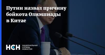 Владимир Путин - Дмитрий Губерниев - Путин назвал причину бойкота Олимпиады в Китае - nsn.fm - Китай