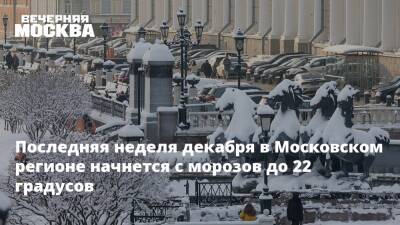 Последняя неделя декабря в Московском регионе начнется с морозов до 22 градусов - vm.ru - Москва - Россия - Москва