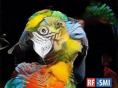 В МАММ открылась Международная биеннале «Искусство будущего / Art for the Future» - rf-smi.ru - Москва - Экология