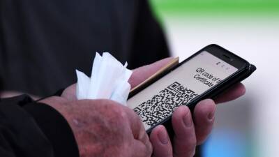 Сергей Аксенов - В Крыму отменили систему QR-кодов в торговых центрах до 20 января - russian.rt.com - Крым - Ульяновская