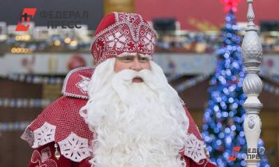 Владимир Путин - Вологодские суды не получали иск к Деду Мороза от петербургского юриста - fedpress.ru - Россия - Санкт-Петербург - Вологодская обл. - Вологда