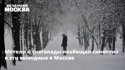 Евгений Тишковец - Метели и снегопады пообещал синоптик в эти выходные в Москве - vm.ru - Москва - Москва