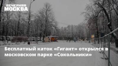 Бесплатный каток «Гигант» открылся в московском парке «Сокольники» - vm.ru - Москва - Москва