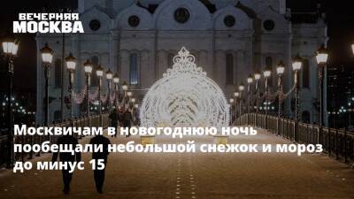 Татьяна Позднякова - Москвичам в новогоднюю ночь пообещали небольшой снежок и мороз до минус 15 - vm.ru - Москва - Москва