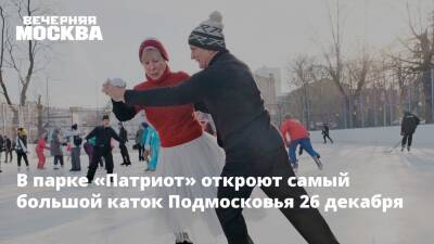 В парке «Патриот» откроют самый большой каток Подмосковья 26 декабря - vm.ru - Россия - Московская обл.